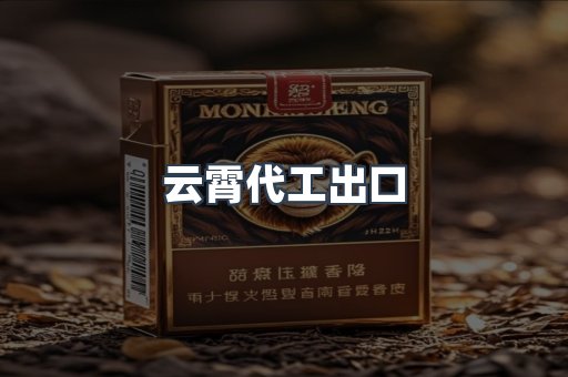 云霄代工出口